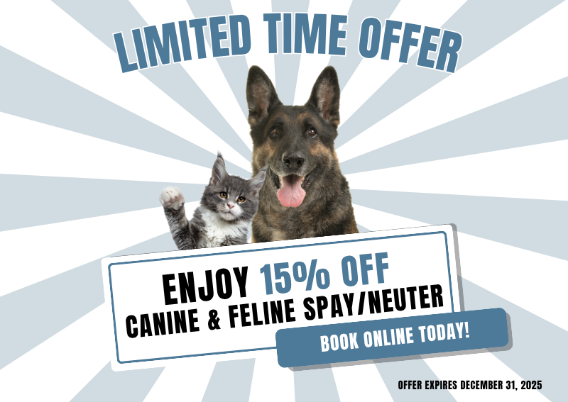 Carousel Slide 2: Book Today >